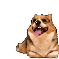 Dog Wow Sticker