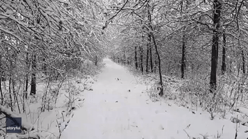 Snowfall Creates Winter Wonderland in Southern Iowa