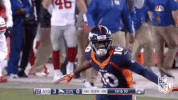 Denver Broncos Football GIF by NFL
