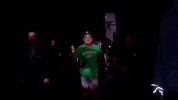 ufc 205 GIF