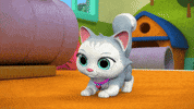 Dance Cat GIF by Moonbug