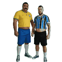 Futebol Brazil Sticker by Database數據