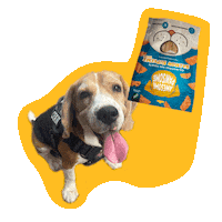 Happy Dog Sticker by Awesome Pawsome Treats