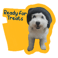 Happy Dog Sticker by Awesome Pawsome Treats