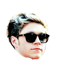 niall horan 1d STICKER by imoji