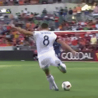 houvla GIF by LA Galaxy