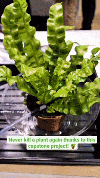 McMasterEng  GIF