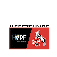 Demo Day Hype Spin Sticker by HYPE Sports Innovation