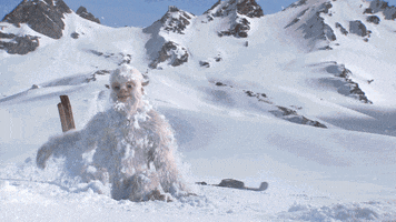 Snow Success GIF by Woodblock