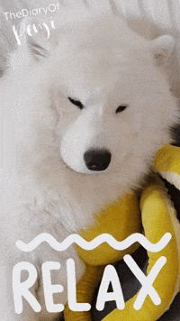 Netflix Chilling GIF