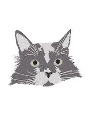cat kitten Sticker