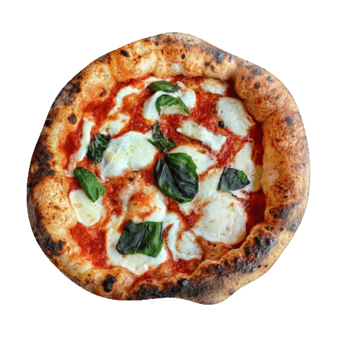 380gradipizza giphyupload pizza napoli salerno Sticker