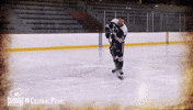 happy ice hockey GIF by Robert Morris University Athletics