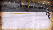 happy ice hockey GIF by Robert Morris University Athletics