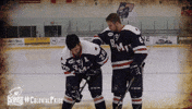 happy ice hockey GIF by Robert Morris University Athletics
