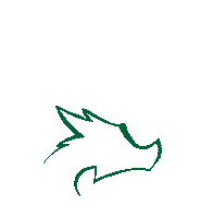 Cheer Cheerleader Sticker by Danube Dragons Cheerleading