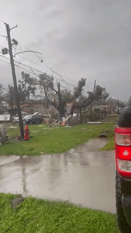 Trees Downed in New Orleans Suburb After Deadly Tornado Rips Through Area