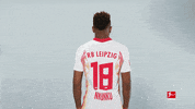 Happy Rb Leipzig GIF by Bundesliga