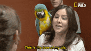 nat geo wild pets GIF by Dr. K's Exotic Animal ER