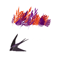 Oranjebloesem koningsdag koningsdag2020 oranjebloesem oranjebloesem2020 Sticker