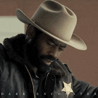 SignatureEntertainmentUK movie film movies london GIF