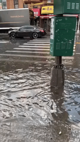 Street Left Flooded in Brooklyn After 'Crazy' Thunderstorm