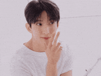 Dk 세븐틴 GIF