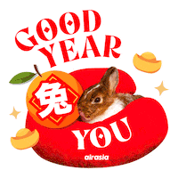 Chinese New Year Bunny Sticker by airasia