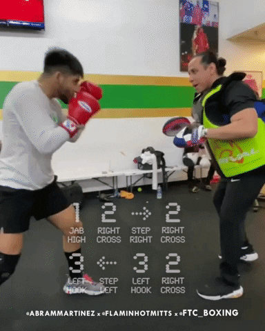 ftc_boxing giphyupload GIF