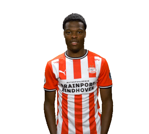 Europa League Goal Sticker by PSV