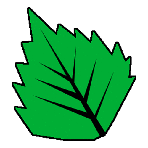 MintyFreshJP giphyupload japan leaf drift Sticker