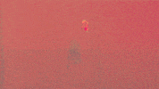 GIF by eranhill