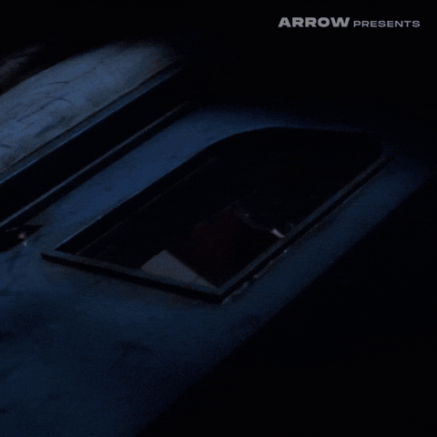 John Carpenter Horror GIF by Arrow Video