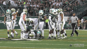 football athletics GIF by GreenWave