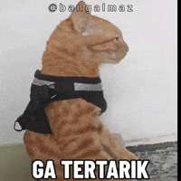 Bang Almaz GIF