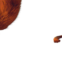 earth squirrel Sticker by Lil Dicky