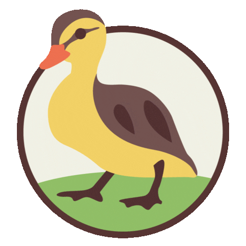22StreetLane giphyupload ducklings 22 street lane nursery logo 22sln logo Sticker