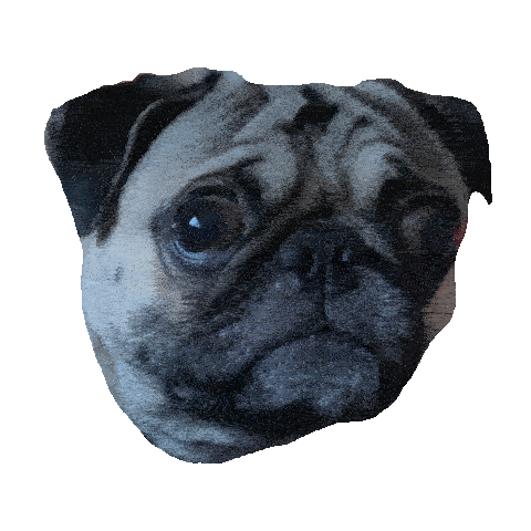 AWEMINUSMUSIC bass pug dubstep pugs Sticker