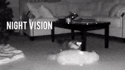 GIF by Nightout Dubai