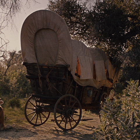 Miracle Workers GIF by Oregon Trail