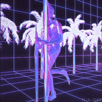 pislices loop glitch 3d trippy GIF