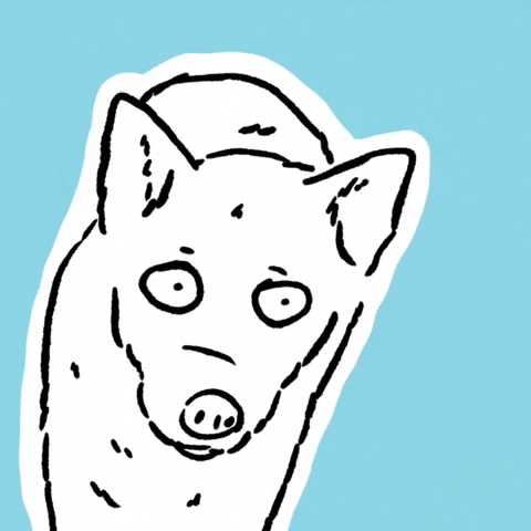 butpoorlydrawn giphyupload reaction meme crazy GIF