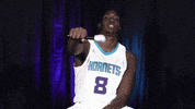 basketball wink GIF by Charlotte Hornets