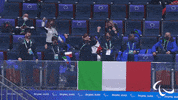 Paralympic Games GIF by International Paralympic Committee