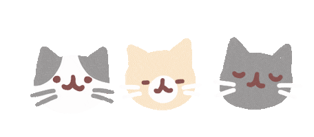 Cat Sticker