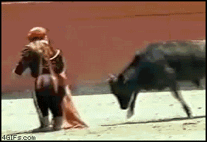 bull fighters GIF