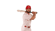 Home Run Bat Sticker by Winnipeg Goldeyes Baseball Club
