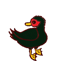 Duck Waterfowl Sticker