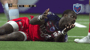fc grenoble wtf GIF by FCG Rugby