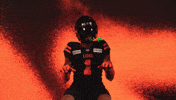 Football Celebration GIF by BC Lions